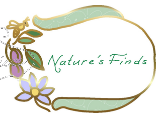 Nature Logo by Centerpiece Logos